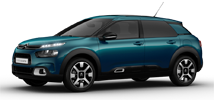 C4 Cactus